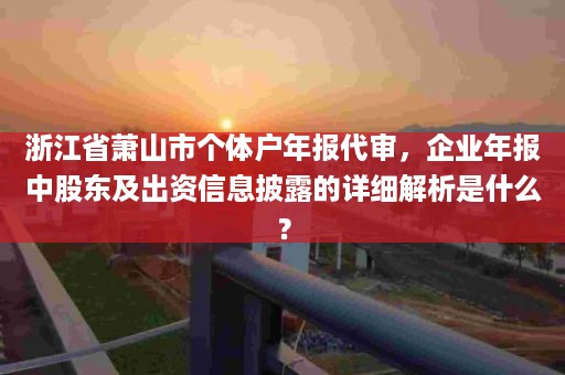 浙江省萧山市个体户年报代审，企业年报中股东及出资信息披露的详细解析是什么？