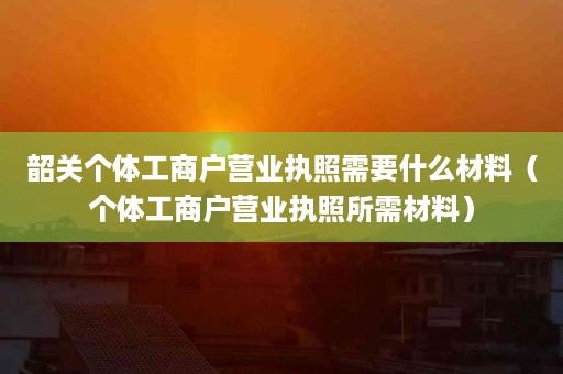 韶关个体工商户营业执照需要什么材料（个体工商户营业执照所需材料）