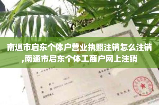 南通市启东个体户营业执照注销怎么注销,南通市启东个体工商户网上注销