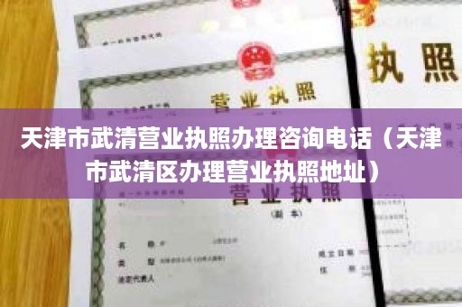 天津市武清营业执照办理咨询电话（天津市武清区办理营业执照地址）