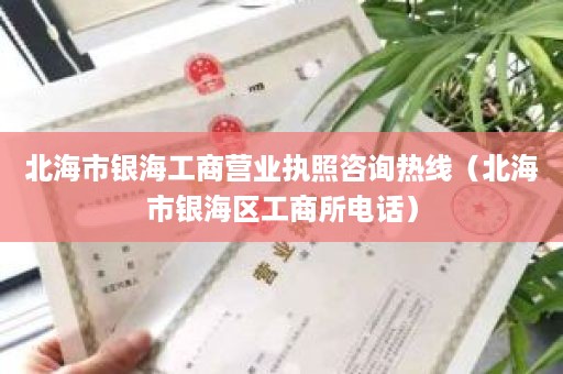 北海市银海工商营业执照咨询热线（北海市银海区工商所电话）