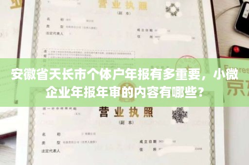 安徽省天长市个体户年报有多重要，小微企业年报年审的内容有哪些？