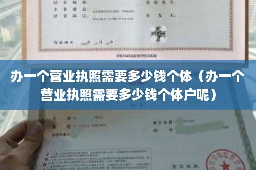 办一个营业执照需要多少钱个体（办一个营业执照需要多少钱个体户呢）