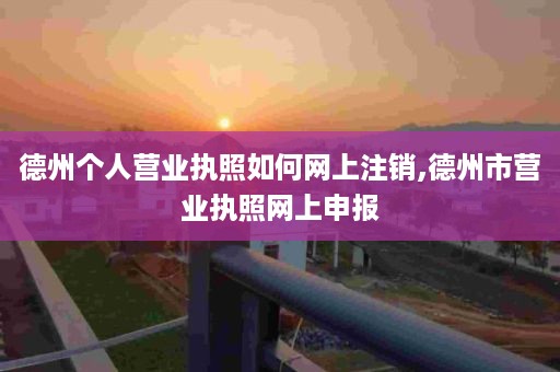 德州个人营业执照如何网上注销,德州市营业执照网上申报