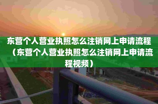 东营个人营业执照怎么注销网上申请流程（东营个人营业执照怎么注销网上申请流程视频）