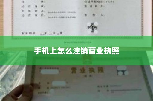 手机上怎么注销营业执照