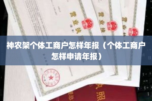 神农架个体工商户怎样年报（个体工商户怎样申请年报）