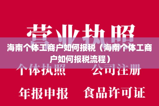 海南个体工商户如何报税（海南个体工商户如何报税流程）