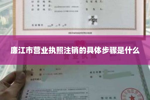 廉江市营业执照注销的具体步骤是什么