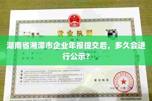 湖南省湘潭市企业年报提交后，多久会进行公示？