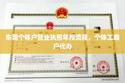 东莞个体户营业执照年报流程，个体工商户代办