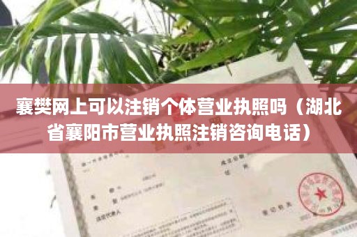 襄樊网上可以注销个体营业执照吗（湖北省襄阳市营业执照注销咨询电话）