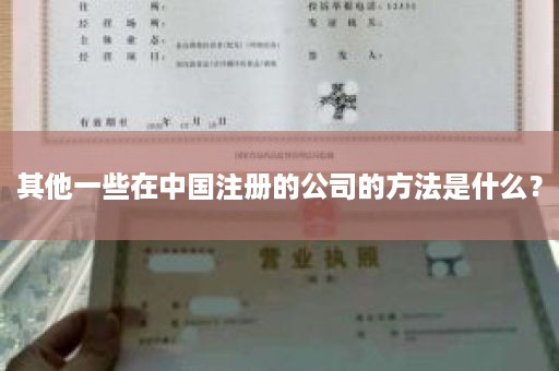 其他一些在中国注册的公司的方法是什么？