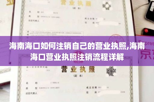 海南海口如何注销自己的营业执照,海南海口营业执照注销流程详解