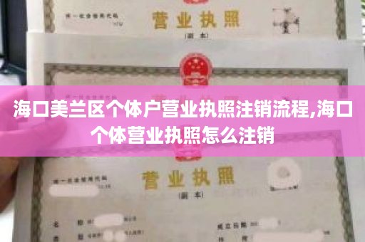 海口美兰区个体户营业执照注销流程,海口个体营业执照怎么注销