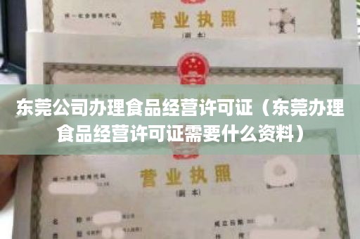 东莞公司办理食品经营许可证（东莞办理食品经营许可证需要什么资料）