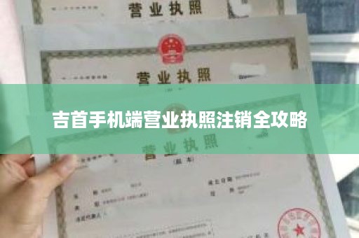 吉首手机端营业执照注销全攻略