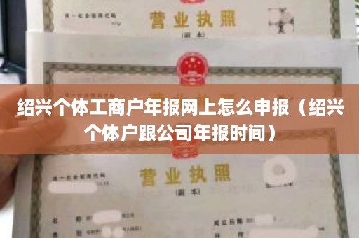 绍兴个体工商户年报网上怎么申报（绍兴个体户跟公司年报时间）