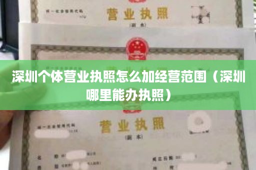 深圳个体营业执照怎么加经营范围（深圳哪里能办执照）