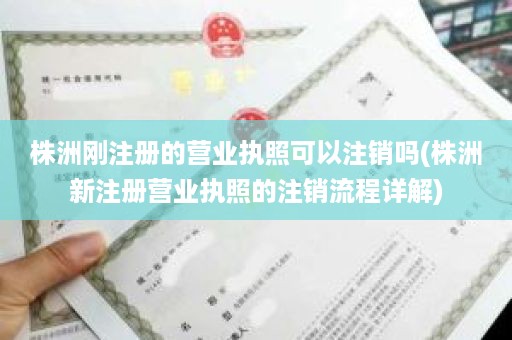 株洲刚注册的营业执照可以注销吗(株洲新注册营业执照的注销流程详解)