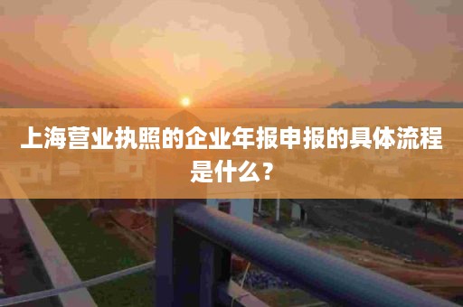 上海营业执照的企业年报申报的具体流程是什么？