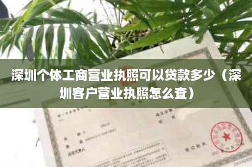 深圳个体工商营业执照可以贷款多少（深圳客户营业执照怎么查）