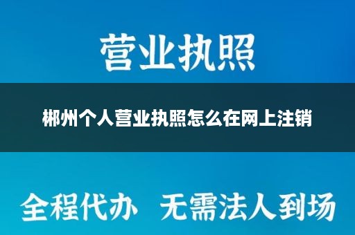 郴州个人营业执照怎么在网上注销