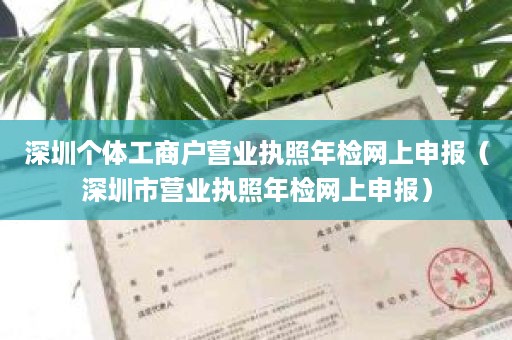 深圳个体工商户营业执照年检网上申报（深圳市营业执照年检网上申报）