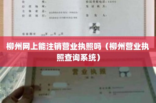 柳州网上能注销营业执照吗（柳州营业执照查询系统）