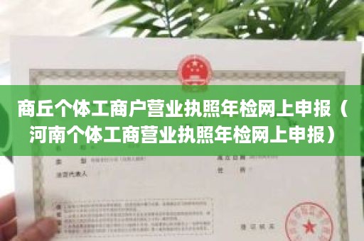 商丘个体工商户营业执照年检网上申报（河南个体工商营业执照年检网上申报）