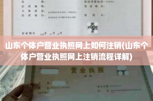 山东个体户营业执照网上如何注销(山东个体户营业执照网上注销流程详解)