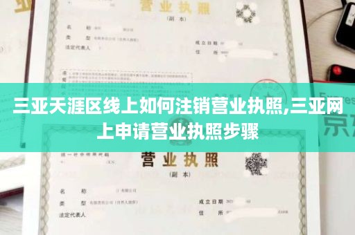 三亚天涯区线上如何注销营业执照,三亚网上申请营业执照步骤