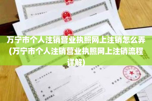 万宁市个人注销营业执照网上注销怎么弄(万宁市个人注销营业执照网上注销流程详解)