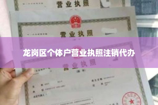 龙岗区个体户营业执照注销代办