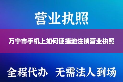 万宁市手机上如何便捷地注销营业执照