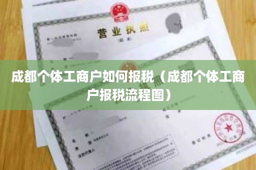 成都个体工商户如何报税（成都个体工商户报税流程图）