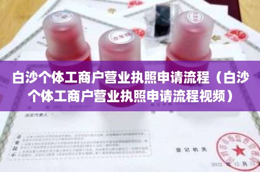 白沙个体工商户营业执照申请流程（白沙个体工商户营业执照申请流程视频）