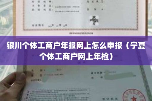 银川个体工商户年报网上怎么申报（宁夏个体工商户网上年检）