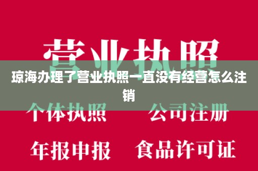 琼海办理了营业执照一直没有经营怎么注销