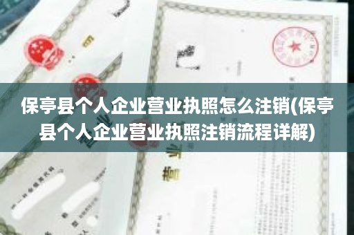 保亭县个人企业营业执照怎么注销(保亭县个人企业营业执照注销流程详解)