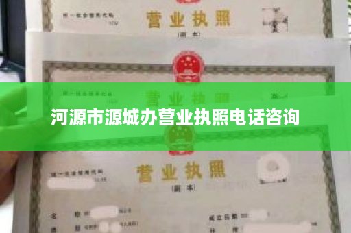 河源市源城办营业执照电话咨询