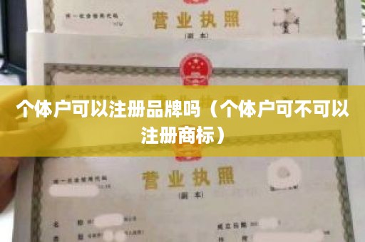 个体户可以注册品牌吗（个体户可不可以注册商标）