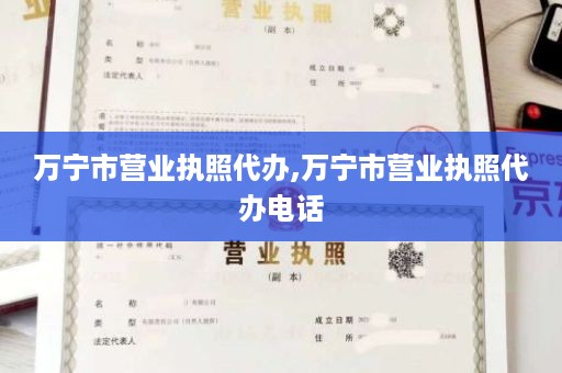 万宁市营业执照代办,万宁市营业执照代办电话