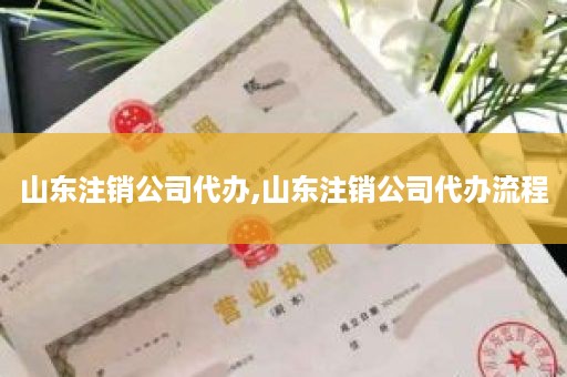 山东注销公司代办,山东注销公司代办流程