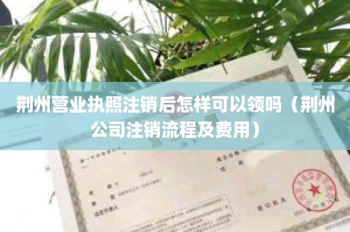 荆州营业执照注销后怎样可以领吗（荆州公司注销流程及费用）