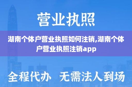 湖南个体户营业执照如何注销,湖南个体户营业执照注销app