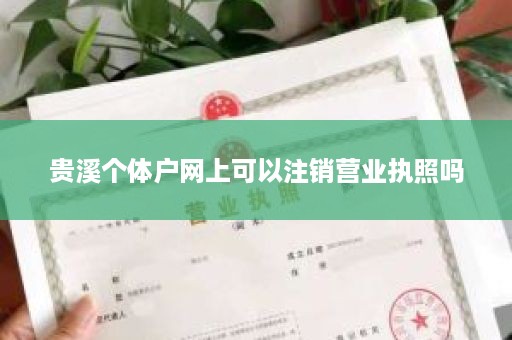 贵溪个体户网上可以注销营业执照吗