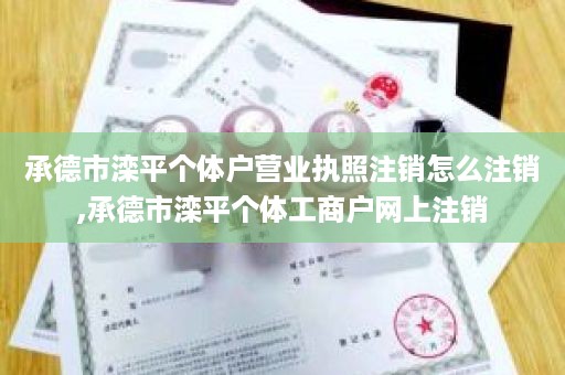 承德市滦平个体户营业执照注销怎么注销,承德市滦平个体工商户网上注销