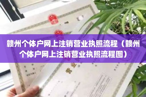 赣州个体户网上注销营业执照流程（赣州个体户网上注销营业执照流程图）