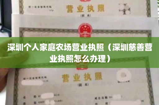 深圳个人家庭农场营业执照（深圳慈善营业执照怎么办理）